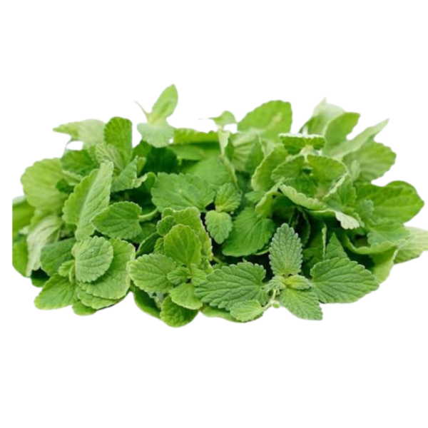 Micro Mint Cress