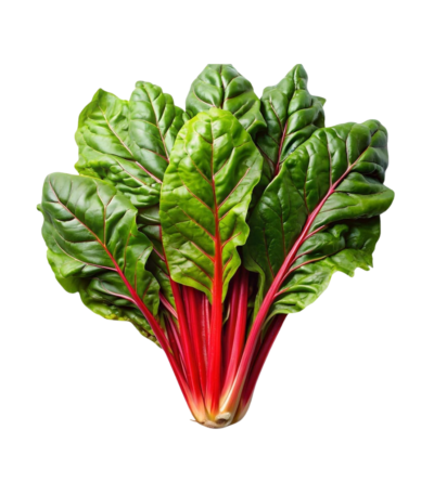 Micro Swiss Chard Cress
