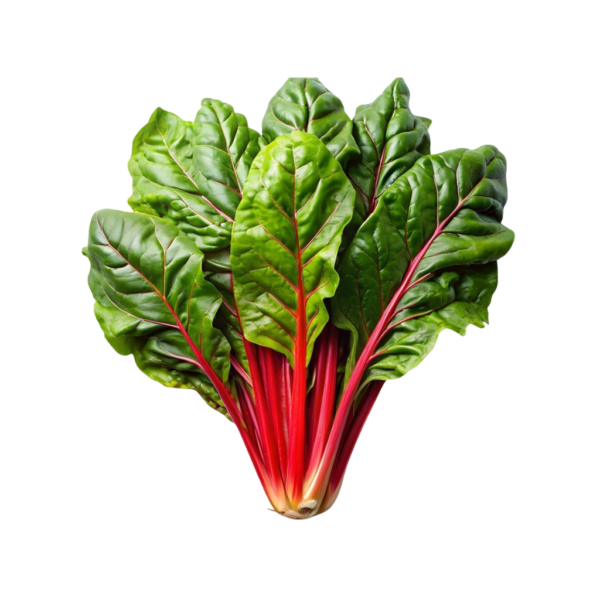 Micro Swiss Chard Cress