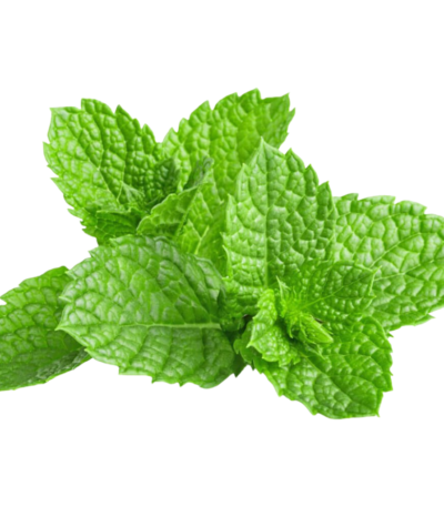 Mint Bunch