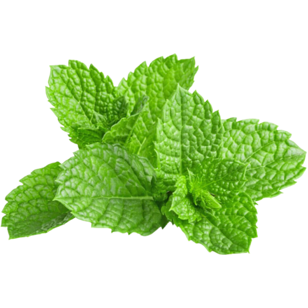 Mint Bunch