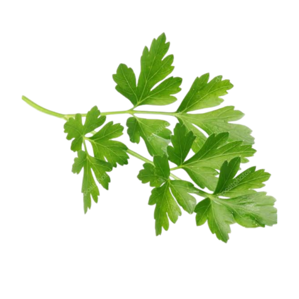 flat leaf parsley