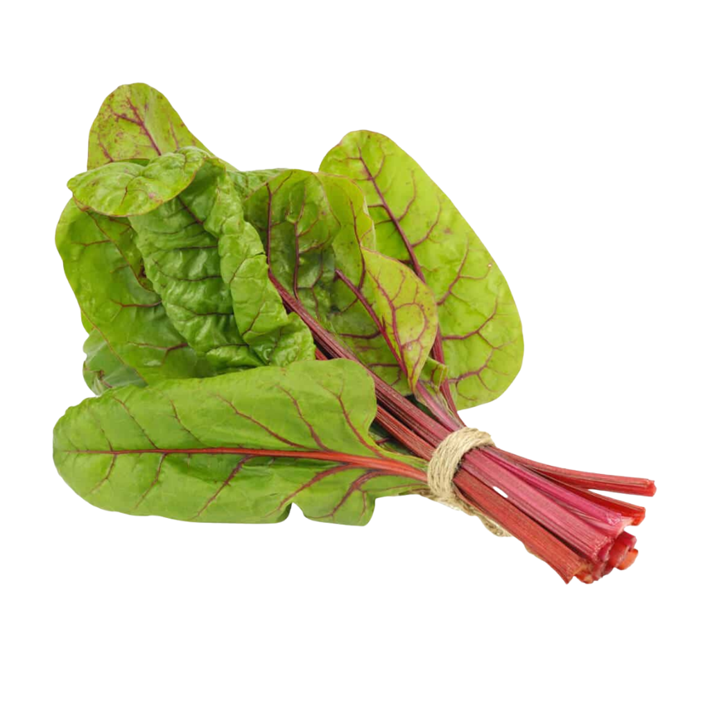 Red Chard Red Chard