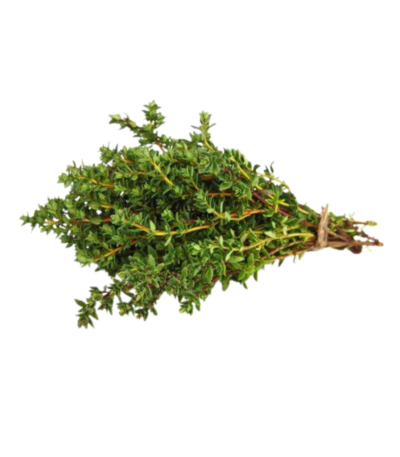 Fresh thyme sprigs packet Dubai