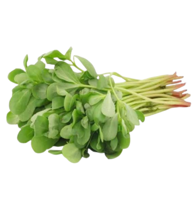 Fresh watercress leaves bunch