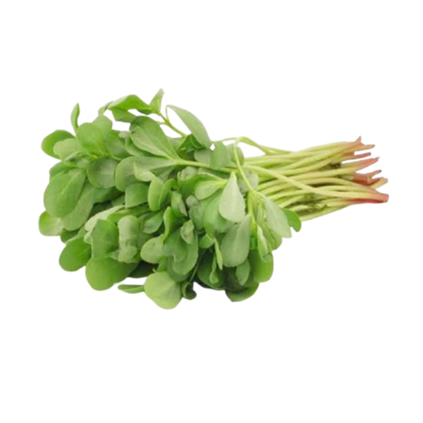 Fresh watercress leaves bunch