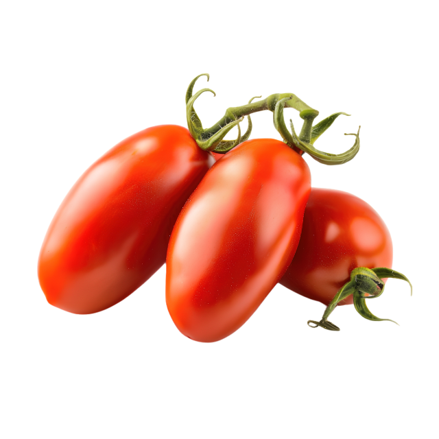 Untitled design - 2026-08-04T105948.302 Roma Plum Tomato - Image 1