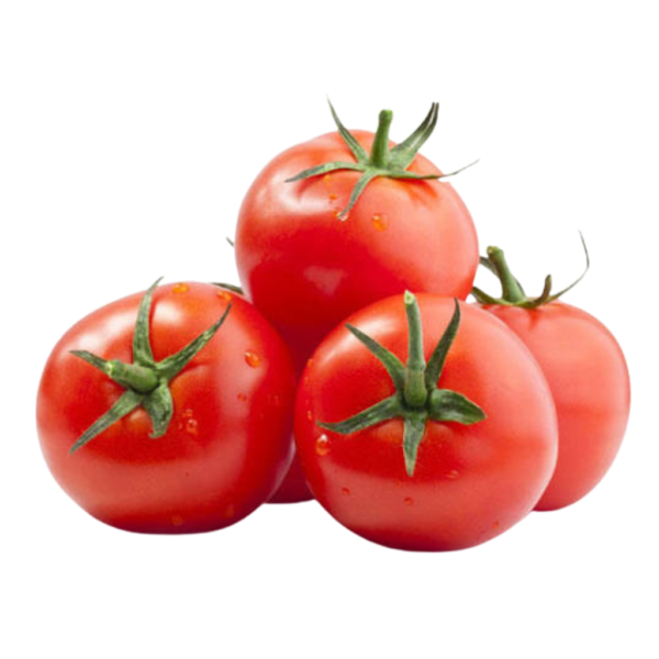 Tomato Iran