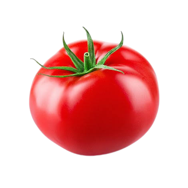 Tomato Vine