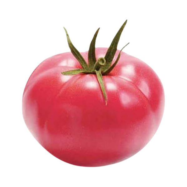 Uzbek Tomato