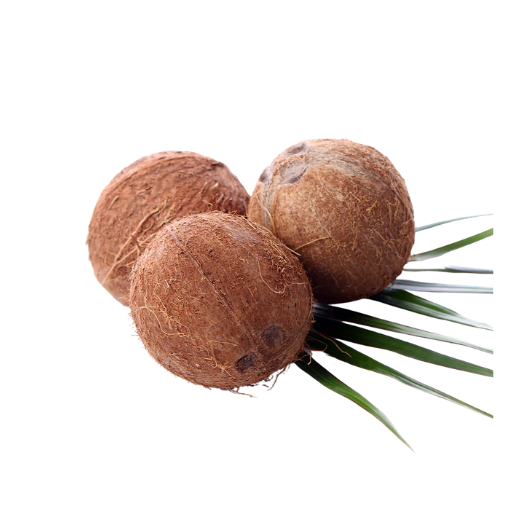 Untitled design (48) Coconut Dry Whole Coconut - Image 1