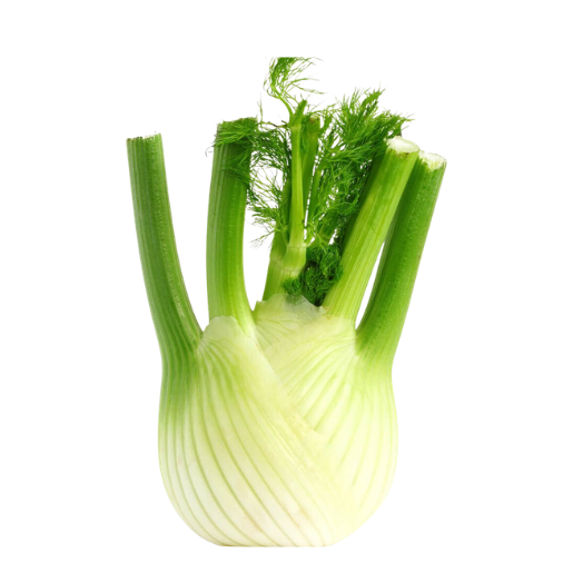 Untitled design (54) Fennel Dubai - Image 1