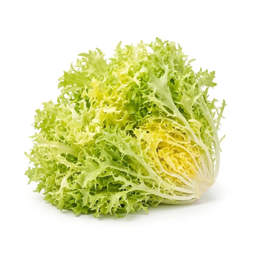 Untitled design (57) Fresh Frisée Lettuce Yellow Holland - Image 1