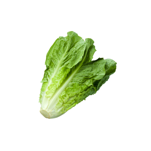 Untitled design (68) Lettuce Long Romaine Dubai - Image 1