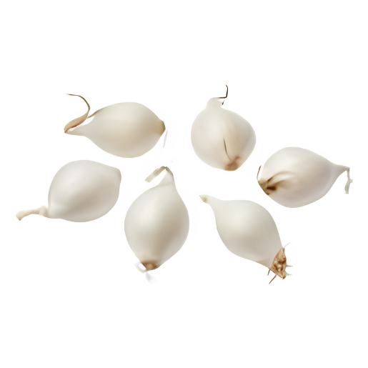 Untitled design (80) PEARL ONION WHITE - Image 1